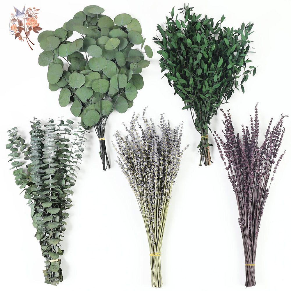 Home Fragrance Fillers - Mezcla de hojas de eucalipto secas,