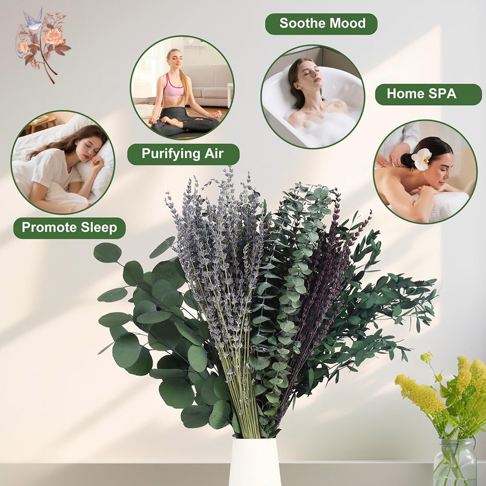 Mezcla de hojas de eucalipto s - Home Fragrance Fillers reseña y precio